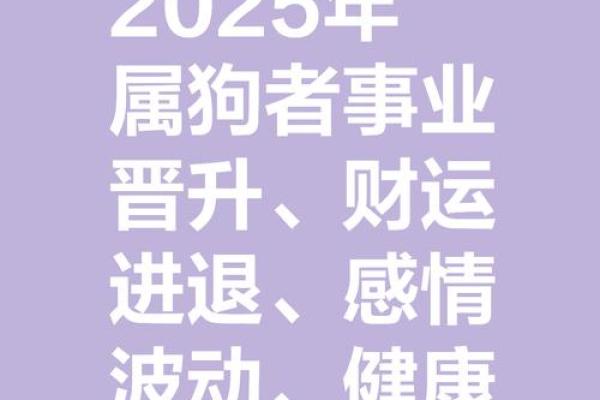 2025年属狗人的全年运势1982出生 2025年属狗男人的全年运势1982出生