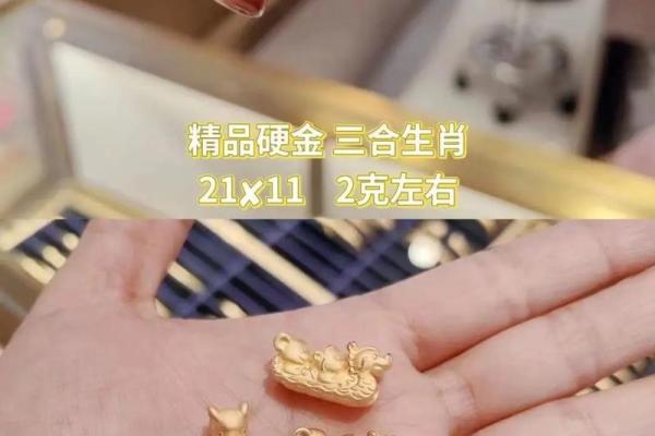 同舟共济打一正确生肖(同舟共济打一正确生肖动物) 同舟共济打一正确生肖(同舟共济打一正确生肖动物)