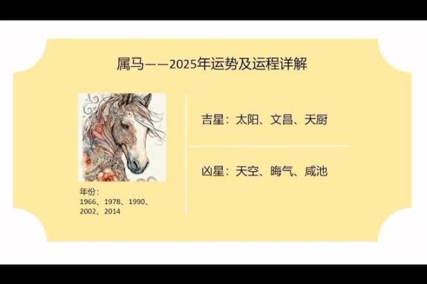 1990年属马2025年运势如何全年运程详解