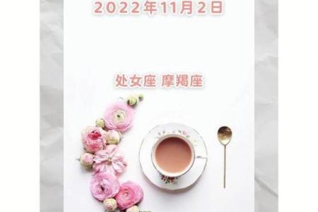 苏珊米勒12月星座运势_苏珊米勒12月星座运势祥解