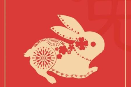 属兔2025年有大喜缠身_2025年属兔人运势大爆发喜事连连好运不断