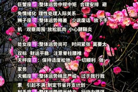 12星座今日运势查询星座屋独家解析每日运程