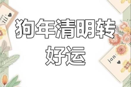 2007年属狗2025年运势及运程_2007年属狗男孩的命运