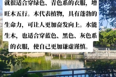 属狗人2025最旺的颜色_属虎人永远最旺的颜色