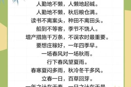 2024立春时间几点几分