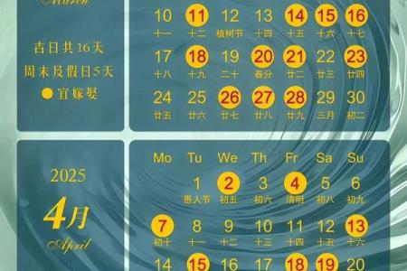 农历2025年属什么年