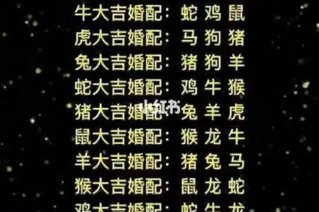 水乳交融是什么生肖