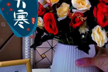 大寒祝福语简短一句话