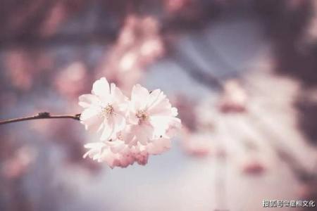 3月星座运势_杀破狼3月星座运势