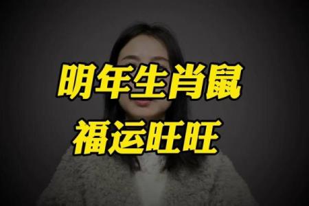 96年出生的鼠2025年的运势