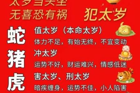 属猪的2025年佩戴什么最好_2025年属猪冲太岁戴什么