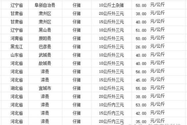 2025年4月30日巳时女命紫微斗数全解盘 2025年4月30日巳时女命紫微斗数全解盘