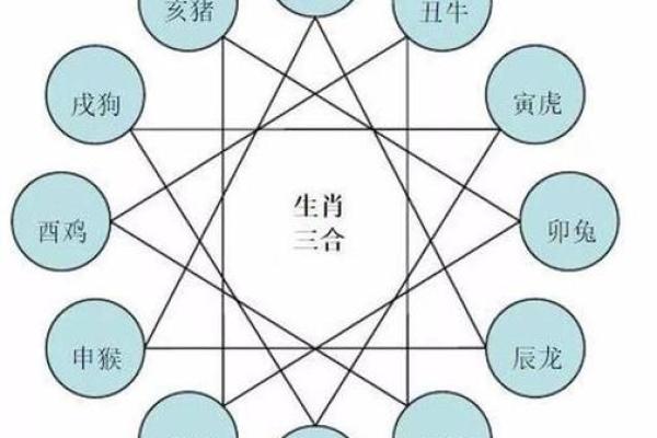 变化多端是什么生肖