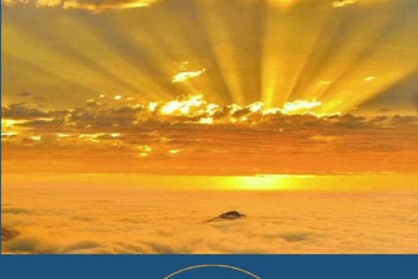 水满金山钱满仓代表什么生肖