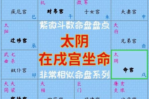 2025年4月1日卯时女命紫微斗数全解盘 2025年4月1日卯时女命紫微斗数全解盘