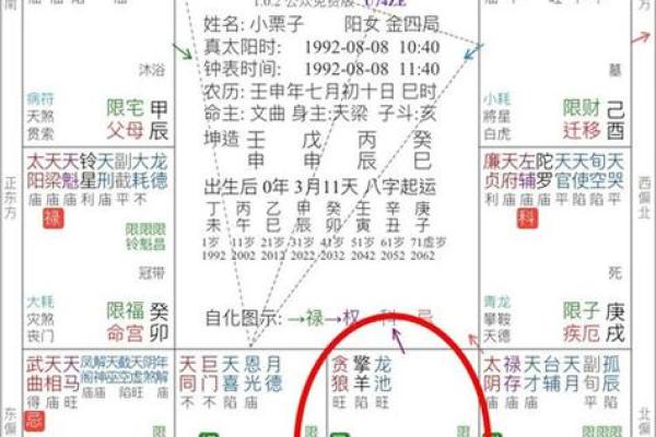 2025年4月3日丑时女命紫微斗数全解盘 2025年4月3日丑时女命紫微斗数全解盘