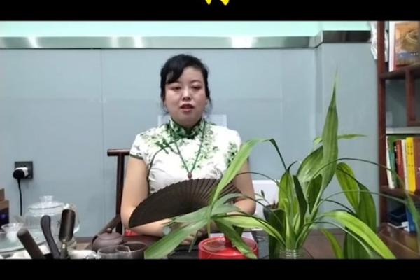 狗2025年运势_2025年狗年运势解析财运健康感情全预测