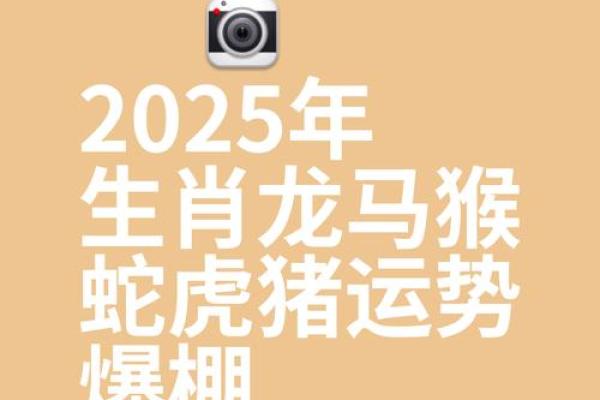 1988年生肖龙2025年运势_1988属龙在2025年运势 1988年生肖龙2025年运势_1988属龙在2025年运势