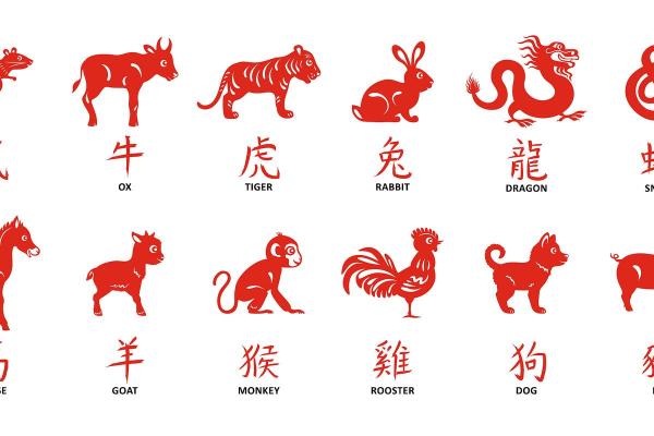 根深蒂固指什么生肖