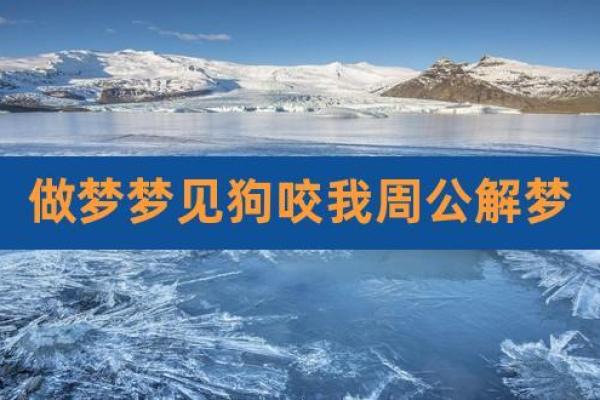 梦见狗要咬我但没咬着 梦见狗要咬我但没咬着