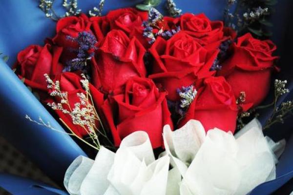 24朵玫瑰代表什么