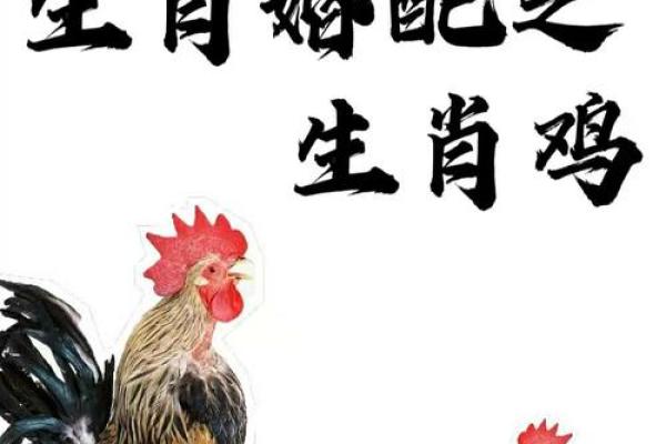 属鸡女最佳婚配