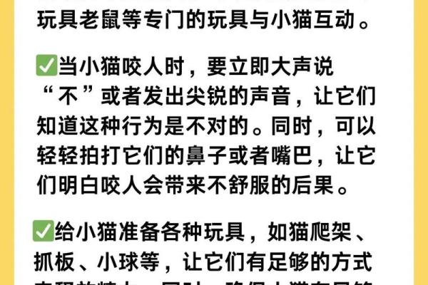 梦见被猫咬了不松口是什么意思