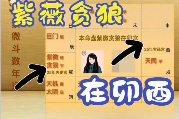 2025年4月6日午时女命紫微斗数全解盘 2025年4月6日午时女命紫微斗数全解盘