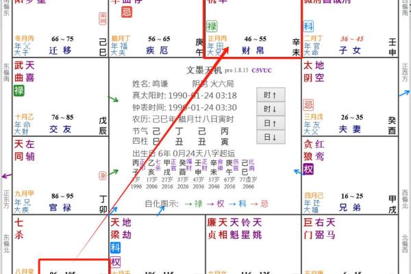 2025年4月9日亥时女命紫微斗数全解盘 2025年4月9日亥时女命紫微斗数全解盘