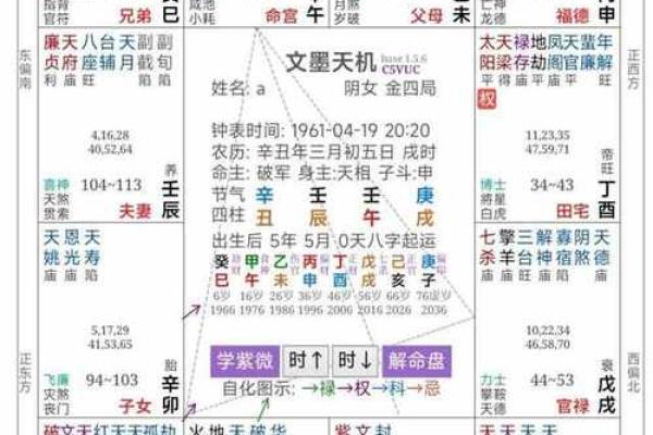 2025年4月9日戌时女命紫微斗数全解盘 2025年4月9日戌时女命紫微斗数全解盘