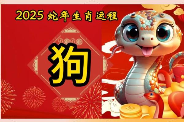 2025年属狗的运势和财运1982年 1982属狗43岁后有十年大运