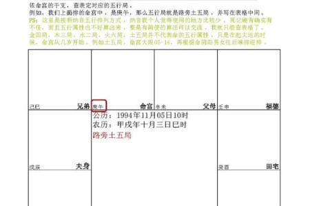 2025年4月27日戌时男命紫微斗数全解盘