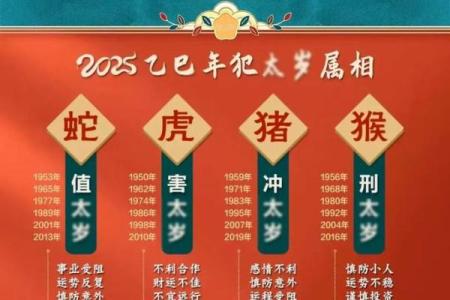 2025年属鼠的运势和财运怎么样