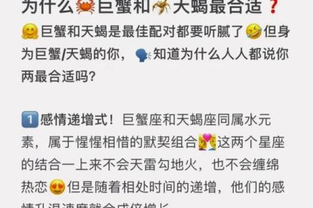双子座男与天蝎座女的匹配程度(双子座男与天蝎座女的匹配程度是什么)