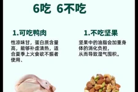 入伏第一天吃什么好