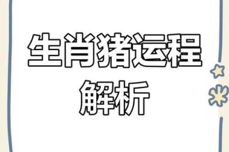 71属猪男2025年的运势及运程_2025年71属猪男运势详解运程预测与吉凶解析