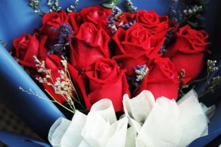 24朵玫瑰代表什么