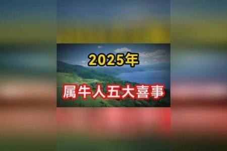 领证日子测算2025年2月属虎和属牛
