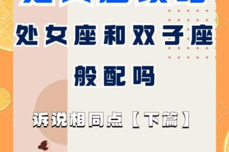 处女座女和双子座男(处女座女和双子座男的配对指数)