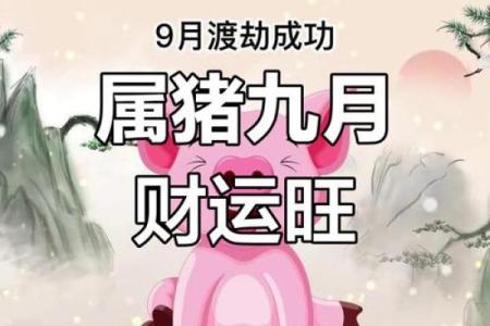 属猪的人2025年运势_2025年属猪人运势详解财运事业爱情全面解析