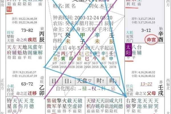 2025年4月16日辰时女命紫微斗数全解盘 2025年4月16日辰时女命紫微斗数全解盘