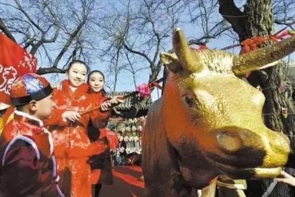 打春后能动土吗 打春后能动土吗