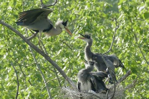 打春后能动土吗 打春后能动土吗