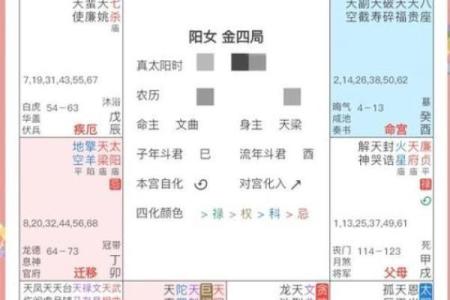 2025年4月22日寅时女命紫微斗数全解盘