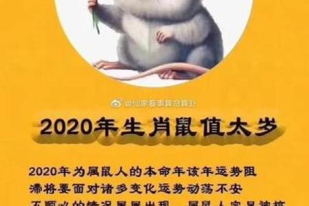 2025年1996年属鼠女的全年运势