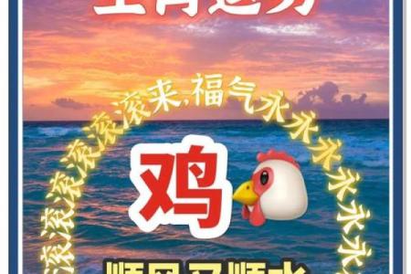 2024年属鸡人运势与财运全解析吉凶预测与提升策略