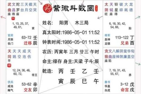 2025年4月30日午时男命紫微斗数全解盘