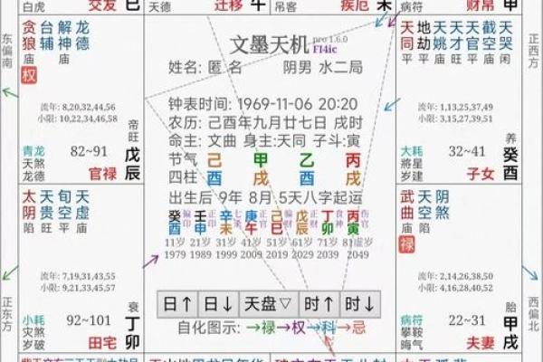 2025年4月2日巳时男命紫微斗数全解盘 2025年4月2日巳时男命紫微斗数全解盘