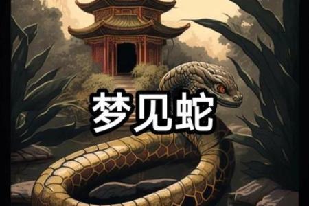 梦到很多小蛇是什么征兆 女性