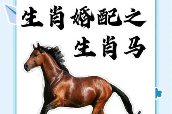 马首是瞻是什么生肖(马首是瞻打一正确生肖) 马首是瞻是什么生肖(马首是瞻打一正确生肖)